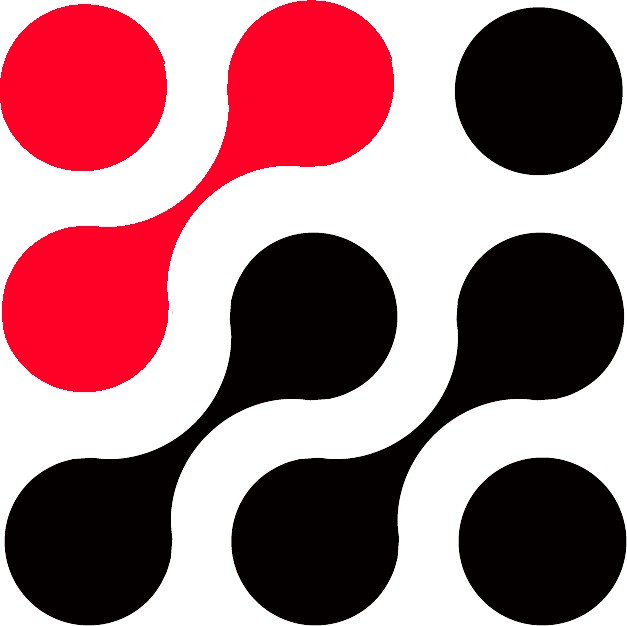 RIIS-DATA logo